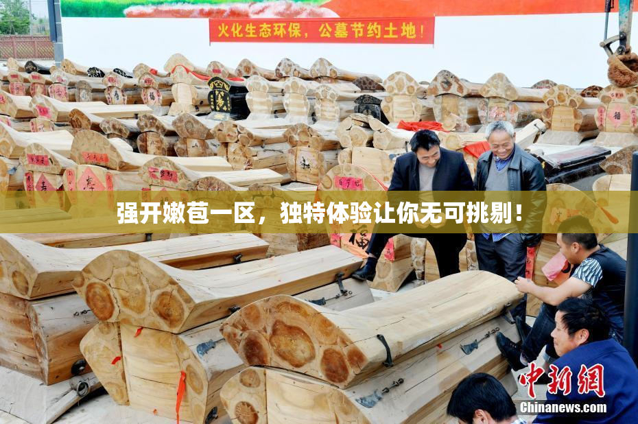 强开嫩苞一区，独特体验让你无可挑剔！