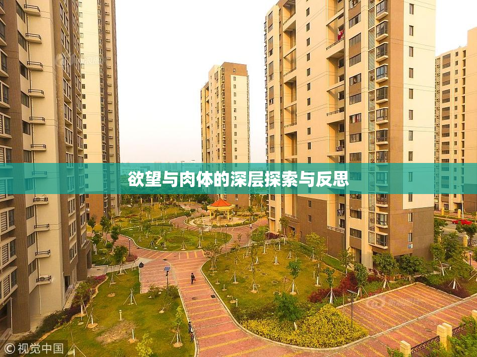 欲望与肉体的深层探索与反思