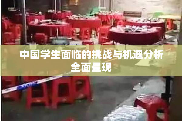 中国学生面临的挑战与机遇分析全面呈现