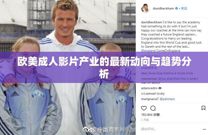 欧美成人影片产业的最新动向与趋势分析