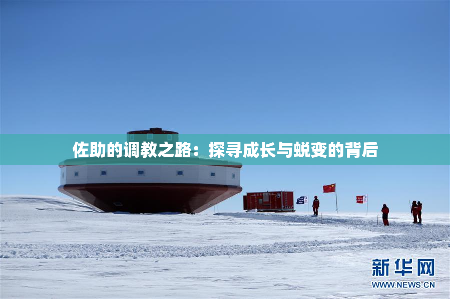 佐助的调教之路：探寻成长与蜕变的背后