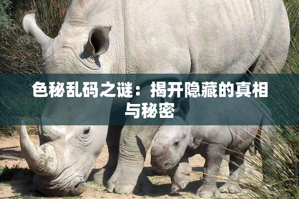 色秘乱码之谜：揭开隐藏的真相与秘密