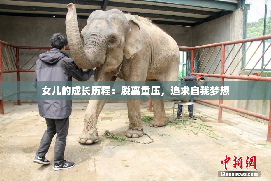 女儿的成长历程：脱离重压，追求自我梦想