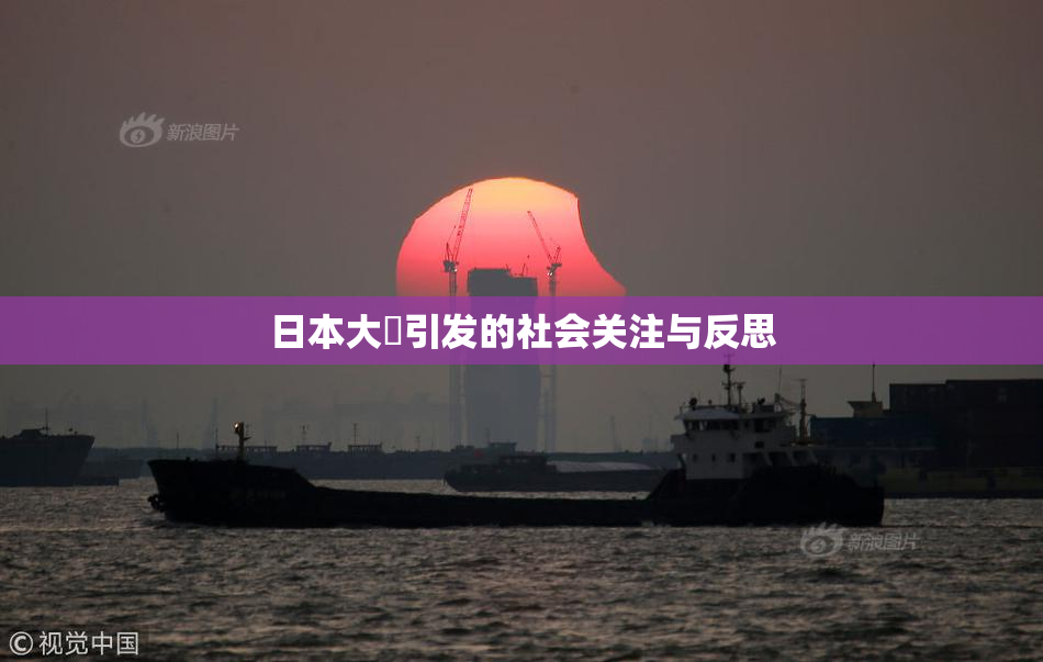 日本大隂引发的社会关注与反思