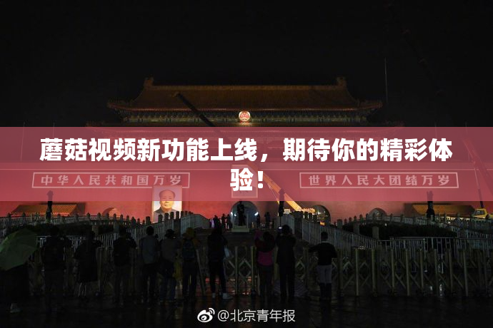 蘑菇视频新功能上线，期待你的精彩体验！