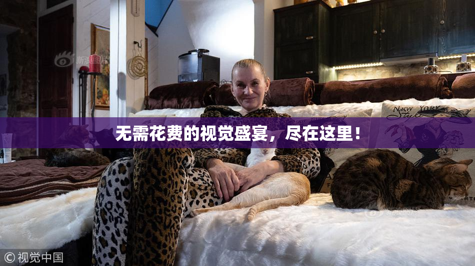 无需花费的视觉盛宴，尽在这里！