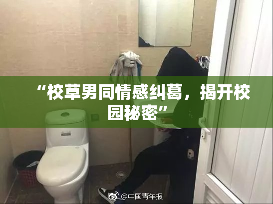 “校草男同情感纠葛，揭开校园秘密”