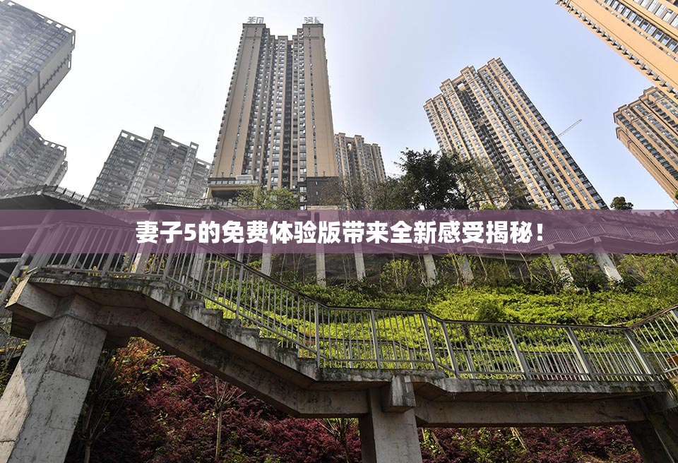 妻子5的免费体验版带来全新感受揭秘！