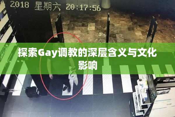 探索Gay调教的深层含义与文化影响