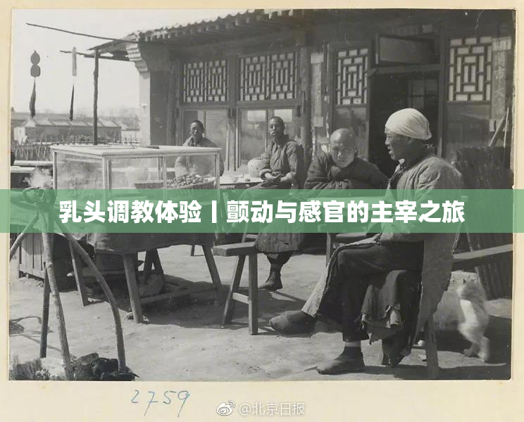 乳头调教体验丨颤动与感官的主宰之旅