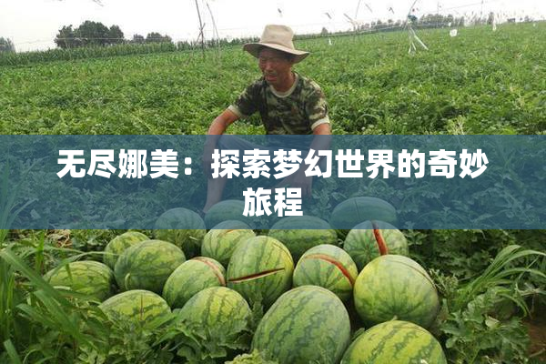 无尽娜美：探索梦幻世界的奇妙旅程