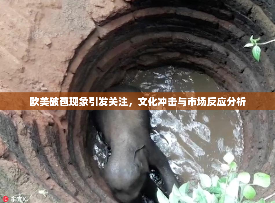 欧美破苞现象引发关注，文化冲击与市场反应分析