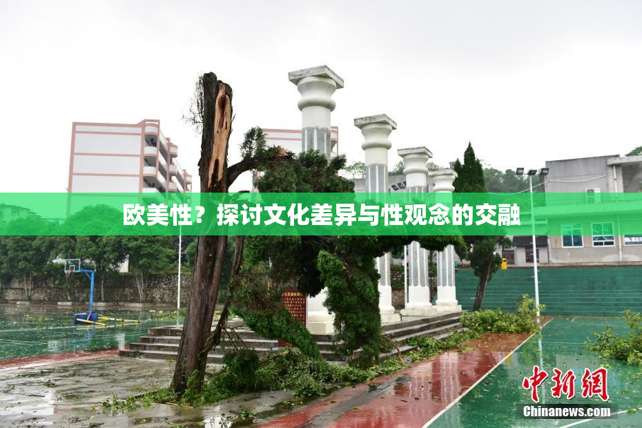 欧美性？探讨文化差异与性观念的交融