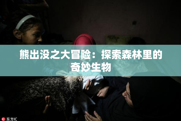 熊出没之大冒险：探索森林里的奇妙生物