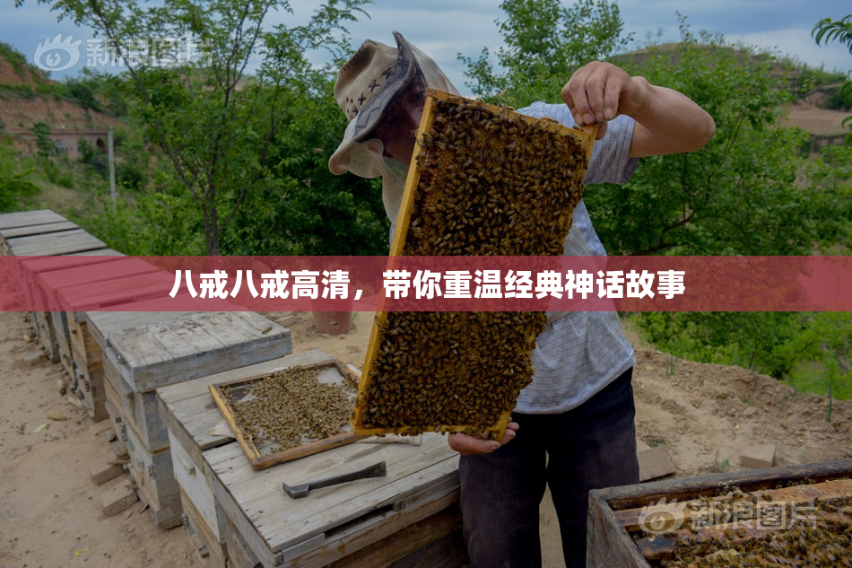 八戒八戒高清，带你重温经典神话故事