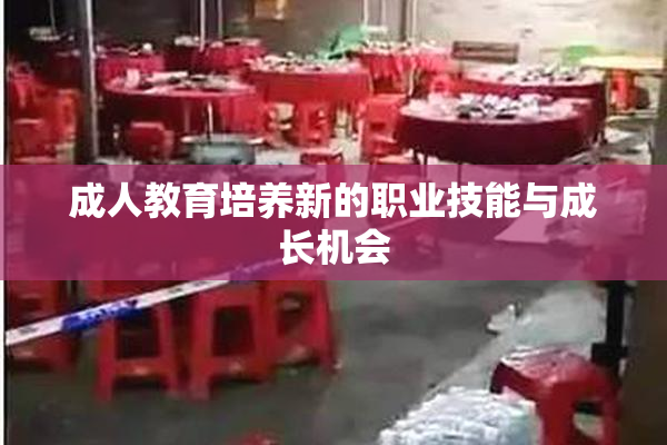 成人教育培养新的职业技能与成长机会