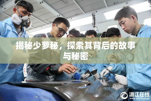揭秘少萝秘，探索其背后的故事与秘密