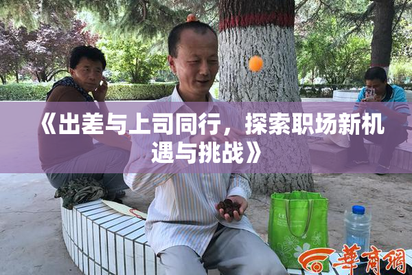 《出差与上司同行，探索职场新机遇与挑战》