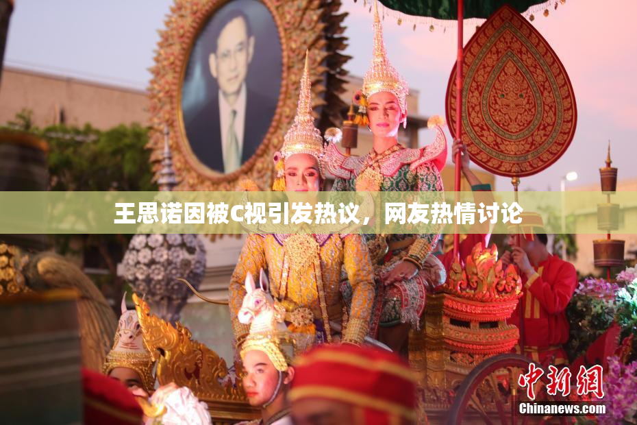 王思诺因被C视引发热议，网友热情讨论