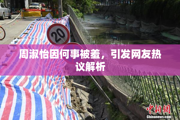 周淑怡因何事被羞，引发网友热议解析