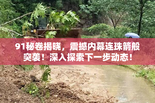 91秘卷揭晓，震撼内幕连珠箭般突袭！深入探索下一步动态！