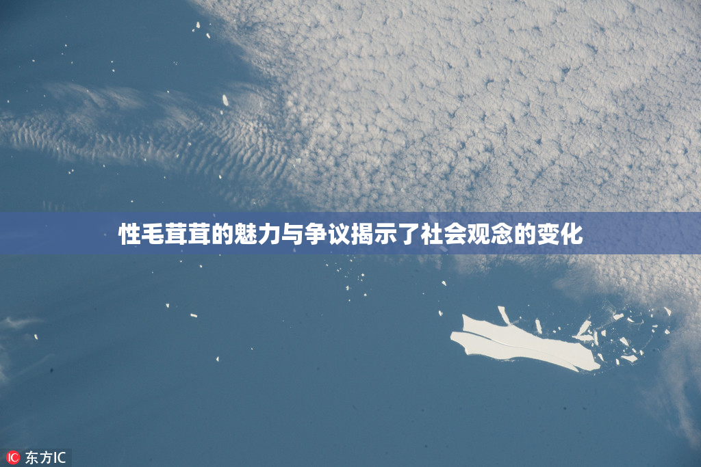 性毛茸茸的魅力与争议揭示了社会观念的变化