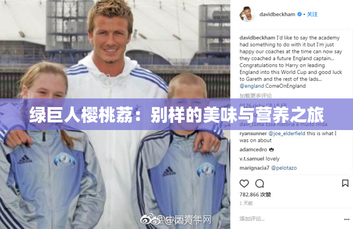 绿巨人樱桃荔：别样的美味与营养之旅