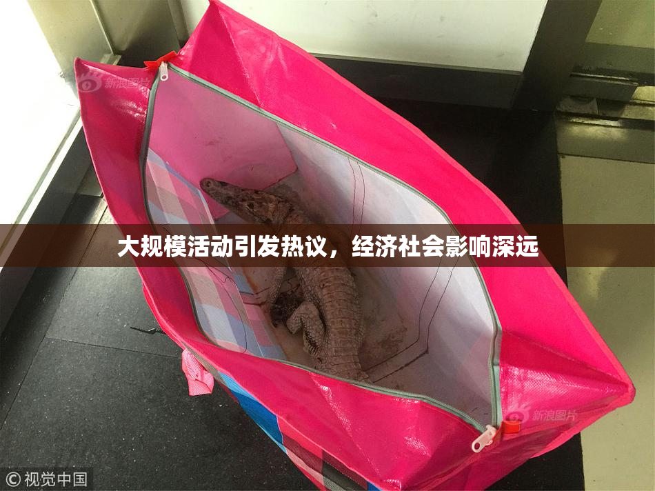 大规模活动引发热议，经济社会影响深远