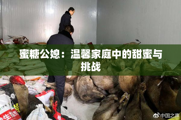 蜜糖公媳：温馨家庭中的甜蜜与挑战