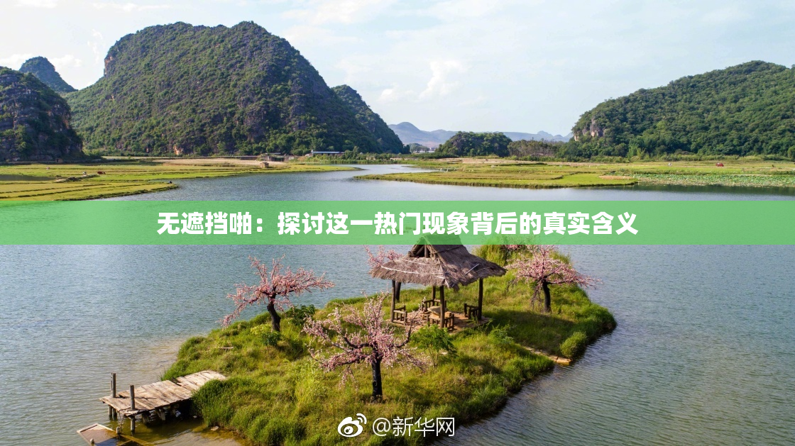 无遮挡啪：探讨这一热门现象背后的真实含义