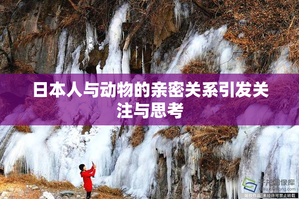 日本人与动物的亲密关系引发关注与思考