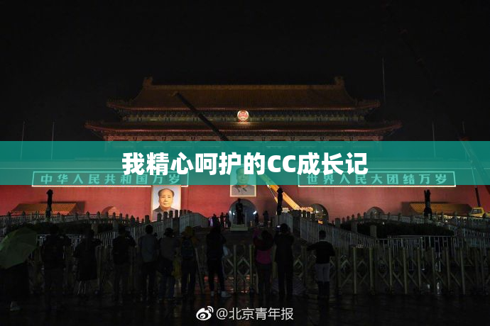 我精心呵护的CC成长记