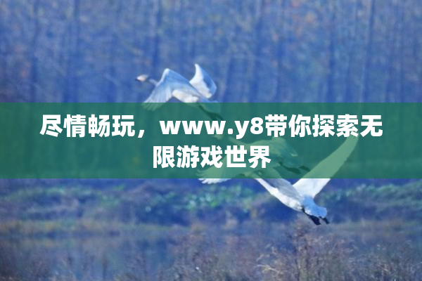 尽情畅玩，www.y8带你探索无限游戏世界