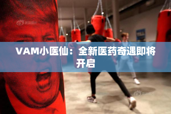 VAM小医仙：全新医药奇遇即将开启