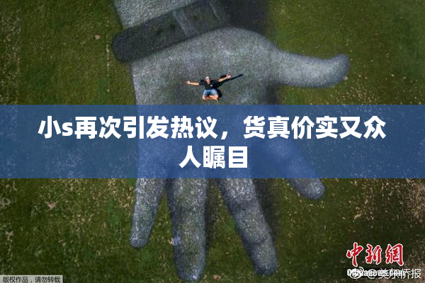小s再次引发热议，货真价实又众人瞩目
