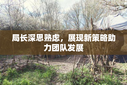 局长深思熟虑，展现新策略助力团队发展