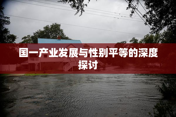 国一产业发展与性别平等的深度探讨
