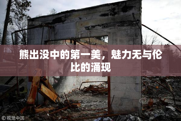 熊出没中的第一美，魅力无与伦比的涌现