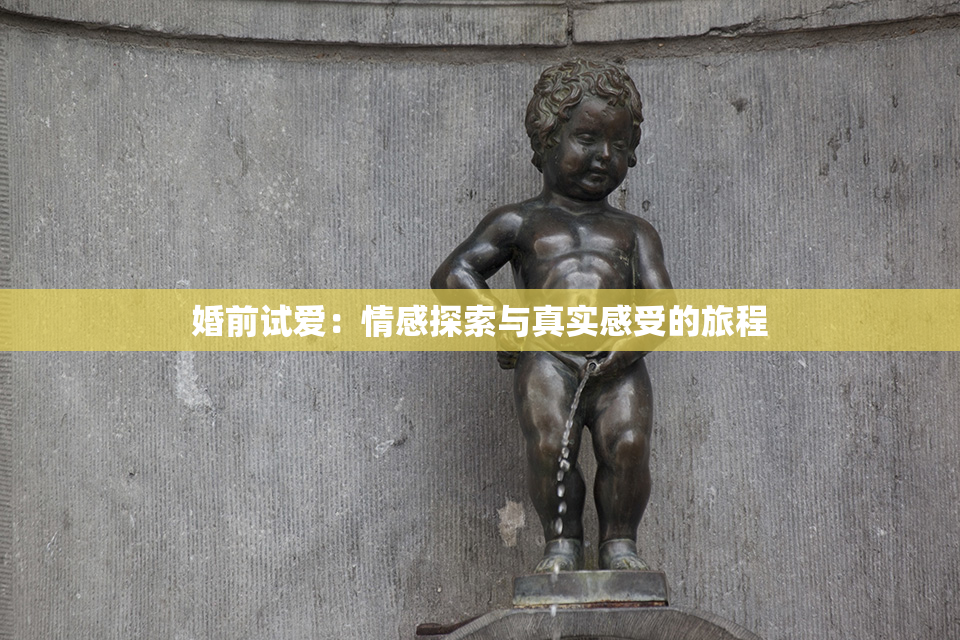 婚前试爱：情感探索与真实感受的旅程