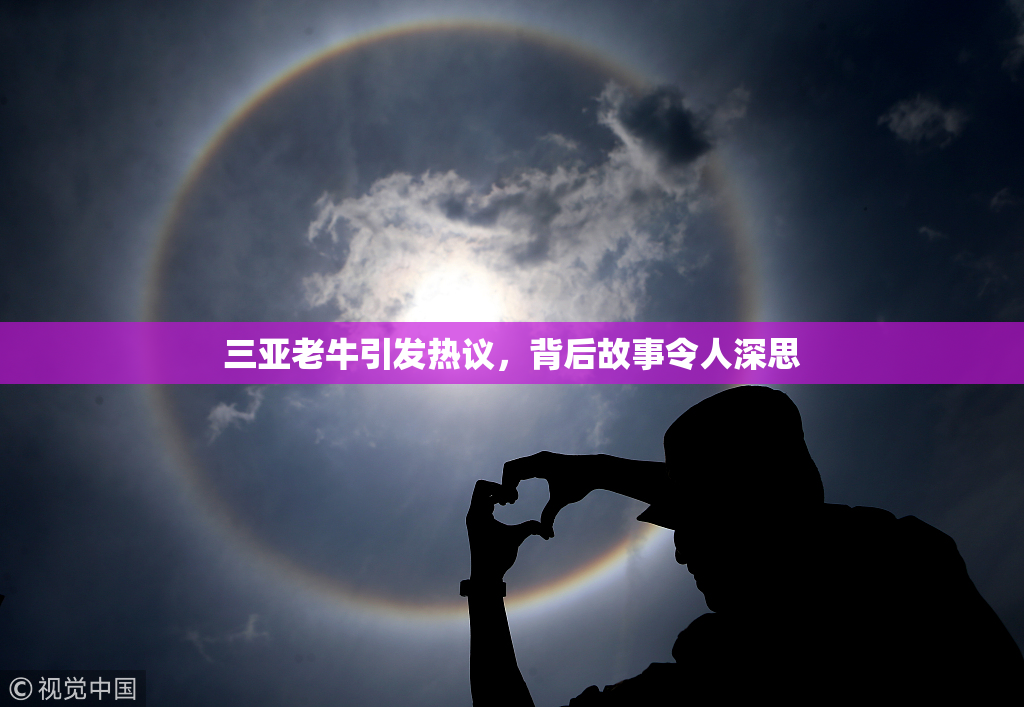 三亚老牛引发热议，背后故事令人深思