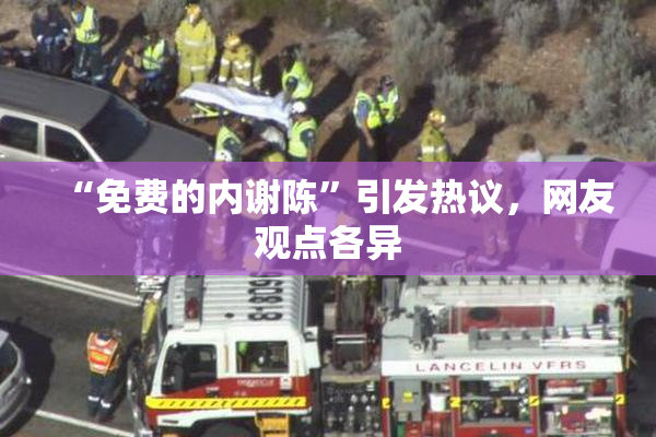 “免费的内谢陈”引发热议，网友观点各异