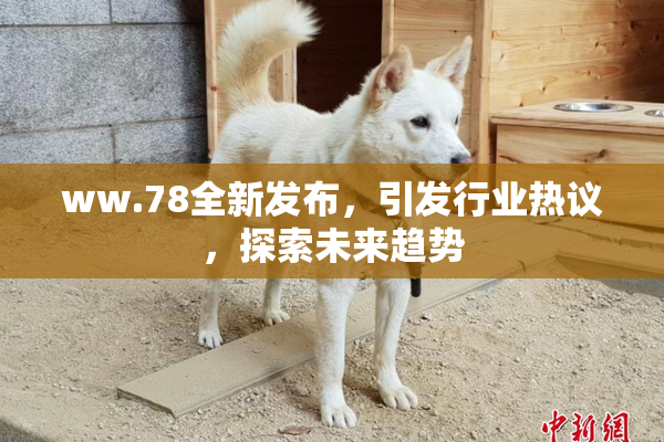 ww.78全新发布，引发行业热议，探索未来趋势