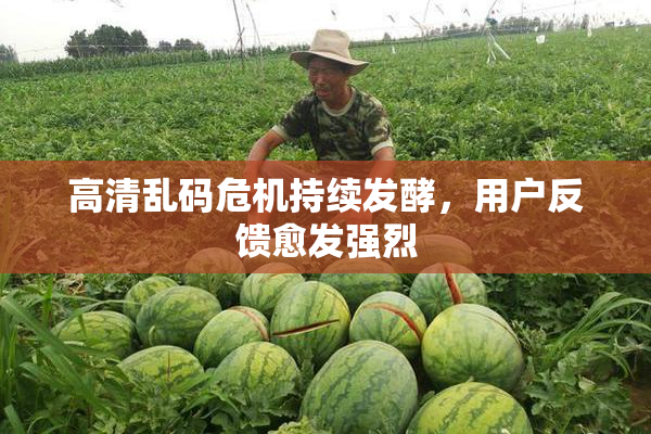 高清乱码危机持续发酵，用户反馈愈发强烈