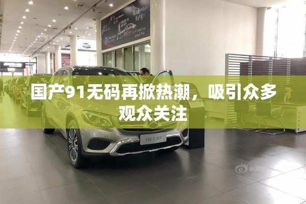 国产91无码再掀热潮，吸引众多观众关注