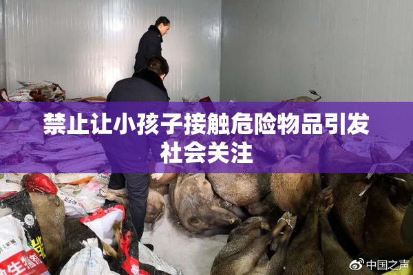 禁止让小孩子接触危险物品引发社会关注
