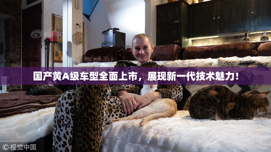 国产黄A级车型全面上市，展现新一代技术魅力！
