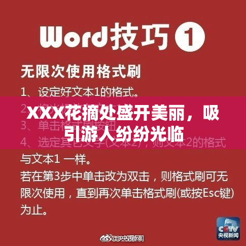 XXX花摘处盛开美丽，吸引游人纷纷光临