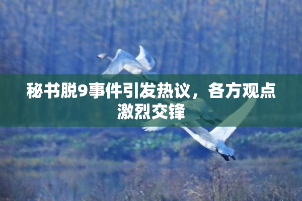 秘书脱9事件引发热议，各方观点激烈交锋