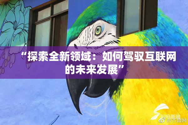 “探索全新领域：如何驾驭互联网的未来发展”