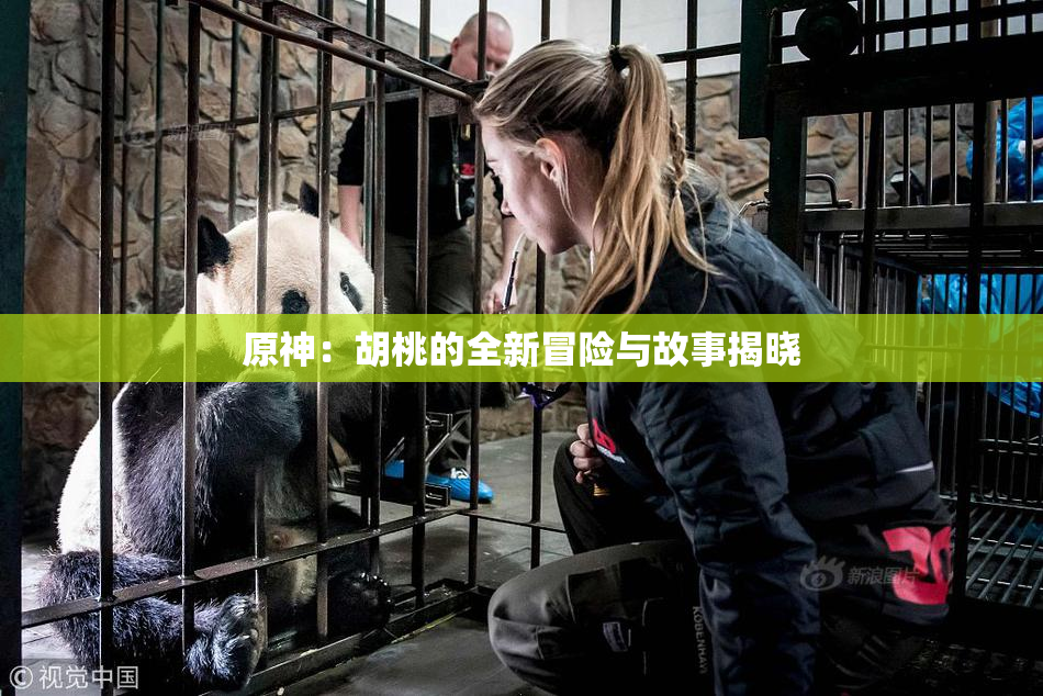 原神：胡桃的全新冒险与故事揭晓